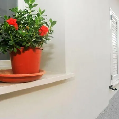 Hotel Bed And Breakfast Lucia Gallipoli